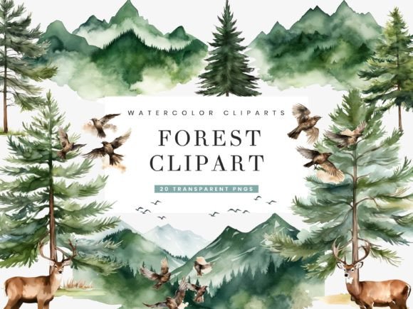 Download Watercolor Forest Clipart Bundle - Color Collection