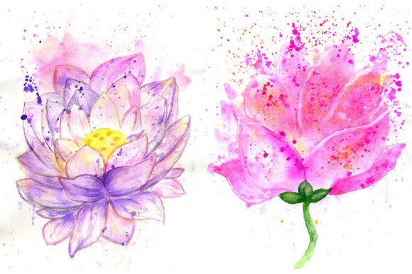 Download Lotus Flower Watercolor - Color Collection