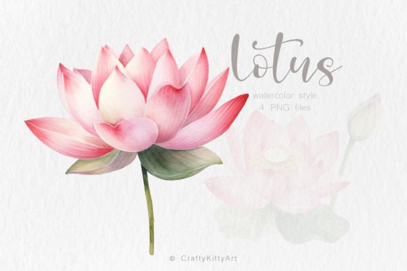 Download Pink Lotus Flower PNG Watercolor Bundle - Color Collection