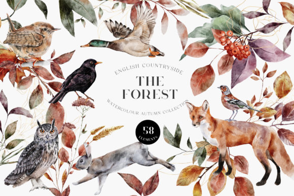 Download Autumn Forest Animals Watercolor PNG - Color Collection