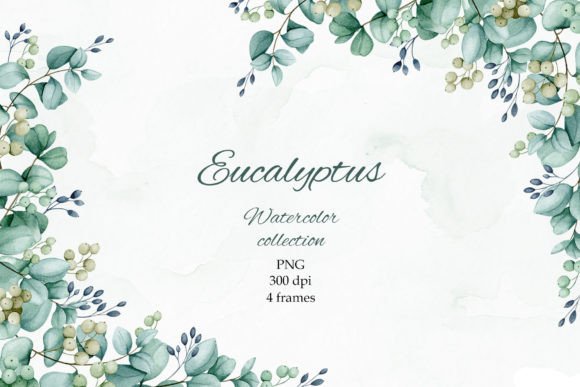 Download Eucalyptus. Watercolor Frames. PNG. - Color Collection